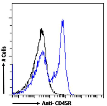 Anti-CD45R [RA3-6B2]