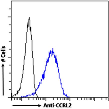 Anti-CCRL2 [BZ5B8]