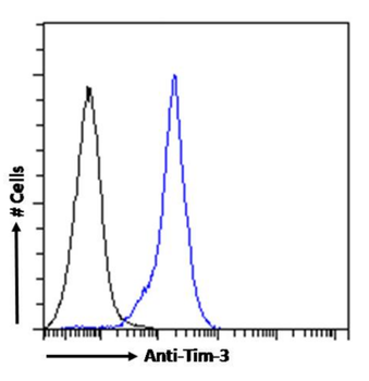 Anti-Tim-3 [2C12]