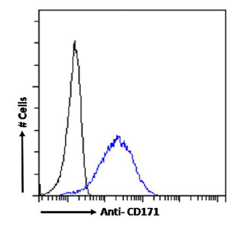 Anti-CD171 [L1-14.10]