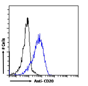 Anti-CD20 [CAT-13.6E12]