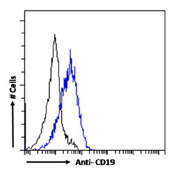 Anti-CD19 [CAT-13.1E10]