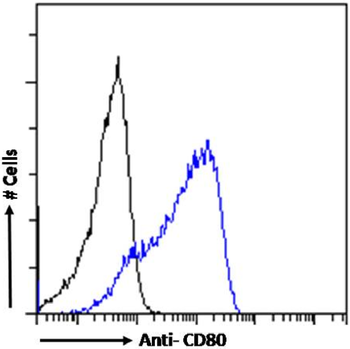 Anti-CD80 [16C10]