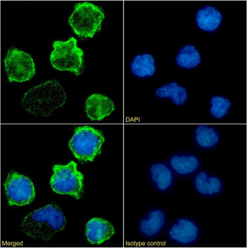 Anti-CD18 [60.3]