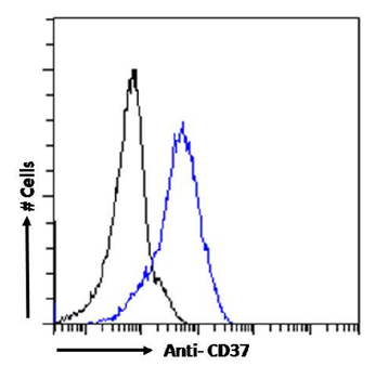 Anti-CD37 [G28-1]