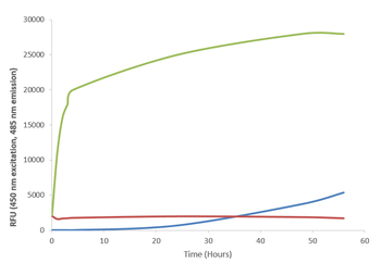 Alpha Synuclein A53T Mutant Monomers (Type 1)