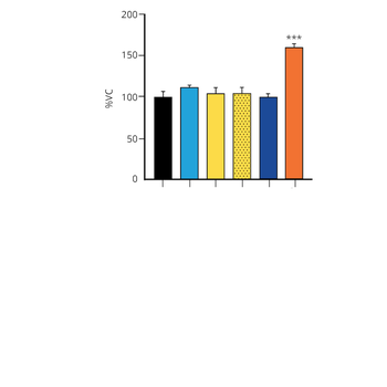 Alpha Synuclein A53T Mutant Pre-formed Fibrils (Type 1)