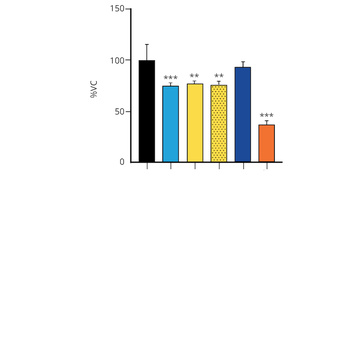 Alpha Synuclein A53T Mutant Pre-formed Fibrils (Type 1)