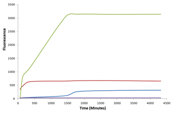 Alpha Synuclein Monomers (Type 1)