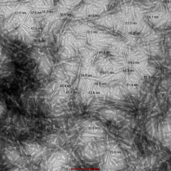 Alpha Synuclein Pre-formed Fibrils (Type 1)