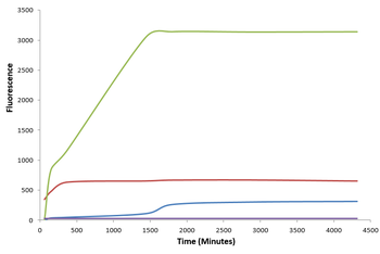 Alpha Synuclein Pre-formed Fibrils (Type 1)