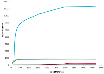 Alpha Synuclein Monomers (Type 2)
