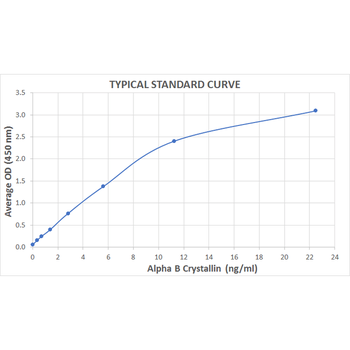 Alpha-B Crystallin ELISA Kit