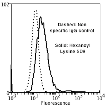 Hexanoyl-Lysine adduct Antibody (RPE)