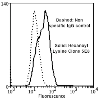 Hexanoyl-Lysine adduct Antibody: Biotin