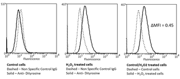 Dityrosine Antibody (Biotin)
