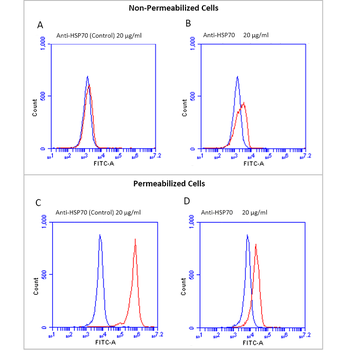 HSP70 Antibody: Biotin