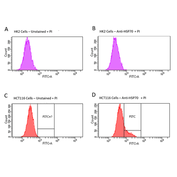 HSP70 Antibody: Biotin