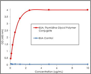 Thymidine Glycol Antibody (RPE)