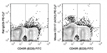 PE-Cyanine7 Anti-Mouse CD117 (c-Kit) (ACK2)