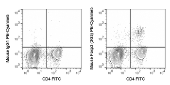 PE-Cyanine5 Anti-Mouse Foxp3 (3G3)
