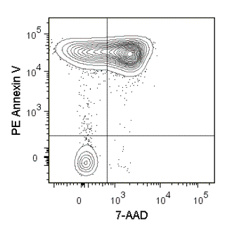 PE Annexin V