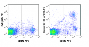 PE Anti-Mouse CD115 (c-fms) (AFS98)