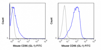 FITC Anti-Mouse CD86 (B7-2) (GL-1)