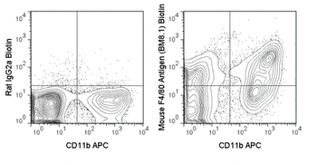 Biotin Anti-Mouse F4/80 Antigen (BM8.1)