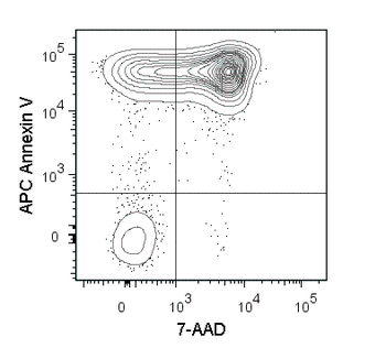 APC Annexin V
