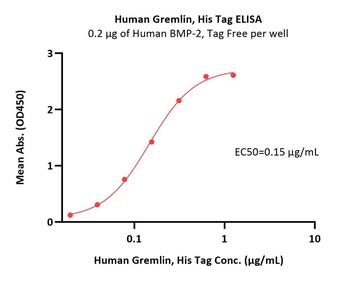Human Gremlin / GREM1 Protein