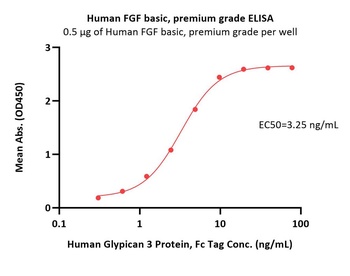 Human FGF basic Protein