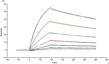 Human M-CSF R / CSF1R / CD115 Protein