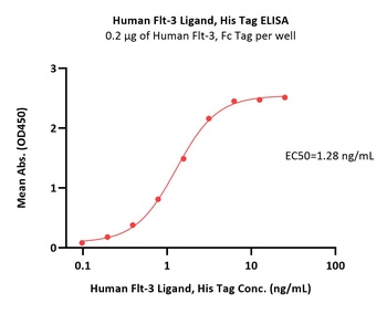Human Flt-3 Ligand Protein