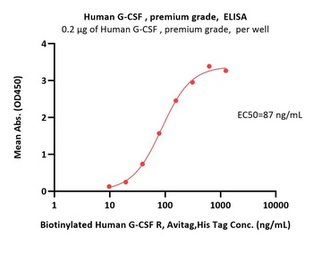 Human G-CSF Protein