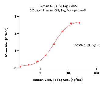 Human Growth Hormone R (GHR) Protein