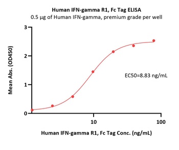 Human IFN-gamma R1 / IFNGR1 Protein