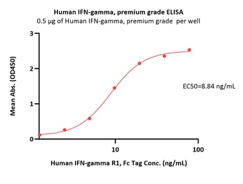 Human IFN-gamma / IFNG Protein