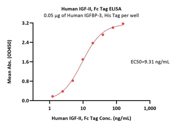 Human IGF-II Protein