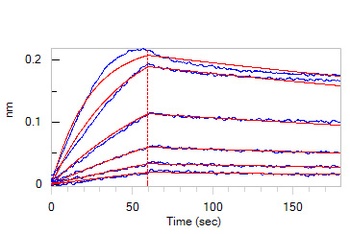 Human IL-1RL1 / ST2 Protein