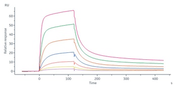 Human IL-18 R1 / CD218a Protein