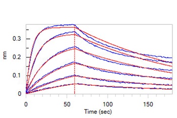 Mouse IL-13 R alpha 1 Protein