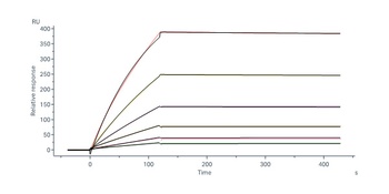 Human IL-27 Ra / TCCR Protein