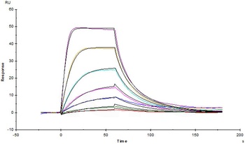 Human IL-2 R alpha / CD25 Protein