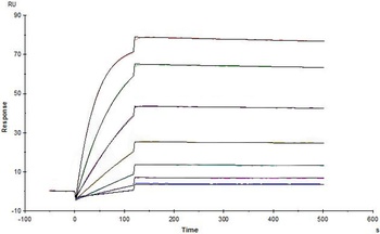 Human IL-1 beta / IL-1F2 Protein