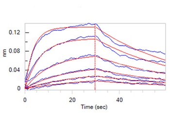 Human IL-6 R alpha / CD126 Protein