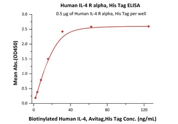 Human IL-4 R alpha / CD124 Protein