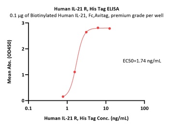 Human IL-21 R Protein