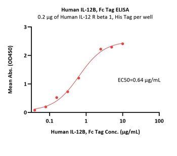 Human IL-12B / NKSF2 / p40 Protein