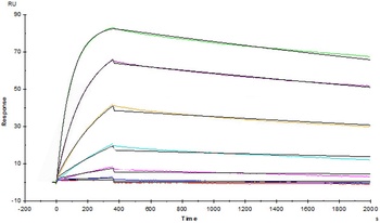 Human TNF-alpha Protein